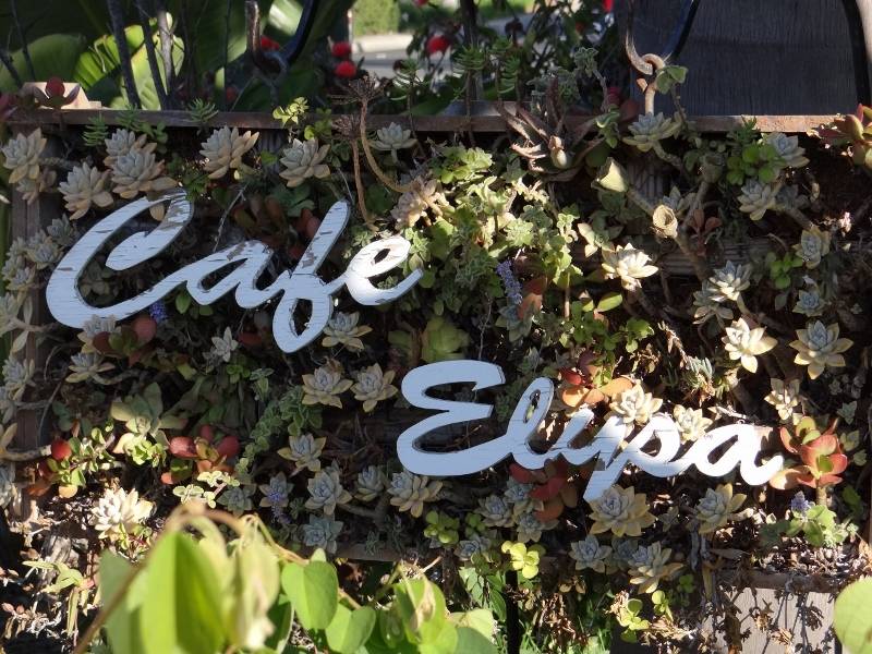 Restaurants in Carlsbad Cafe Elysa for Breakfast